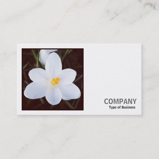 Tarjeta De Visita Foto cuadrada (v2) - Crocus blanco (Anverso)