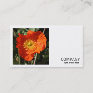 Tarjeta De Visita Foto cuadrada (v2) - Disquetera galesa (Naranja)