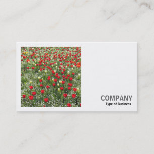 Tarjeta De Visita Foto Cuadrada (v2) - Lecho de Tulipanes