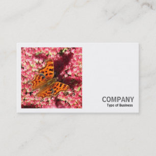 Tarjeta De Visita Foto cuadrada (v2) - Mariposa de coma en Sedum