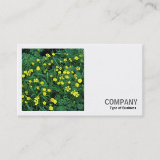 Tarjeta De Visita Foto cuadrada (v2) - Mariposas