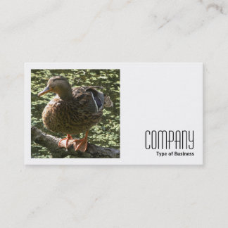 Tarjeta De Visita Foto cuadrada (v2) - Pato feliz