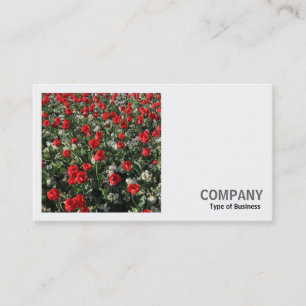 Tarjeta De Visita Foto cuadrada (v2) - Tulipanes rojos y rosas