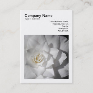 Tarjeta De Visita Foto cuadrada (v3) - Camellia blanca