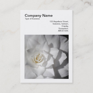 Tarjeta De Visita Foto cuadrada (v3) - Camellia blanca