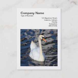 Tarjeta De Visita Foto Cuadrada (v3) - Cisne