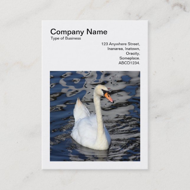 Tarjeta De Visita Foto Cuadrada (v3) - Cisne (Anverso)