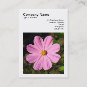 Tarjeta De Visita Foto cuadrada (v3) - Cosmos rosa