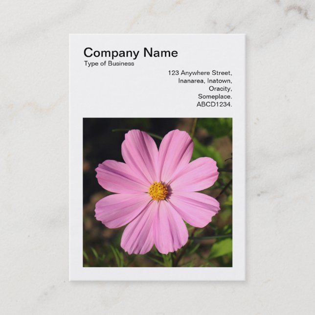 Tarjeta De Visita Foto cuadrada (v3) - Cosmos rosa (Anverso)