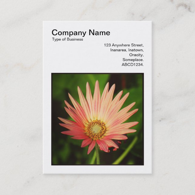 Tarjeta De Visita Foto cuadrada (v3) - Daisy africano (Anverso)