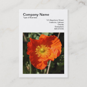 Tarjeta De Visita Foto cuadrada (v3) - Discoteca galesa