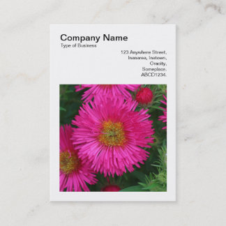 Tarjeta De Visita Foto cuadrada (v3) - Michaelmas Daisies 03