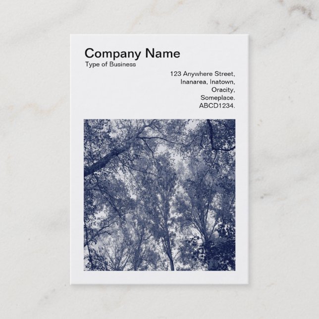 Tarjeta De Visita Foto cuadrada (v3) - Otoño Azul (Anverso)