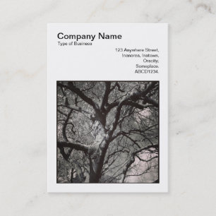 Tarjeta De Visita Foto cuadrada (v3) - Ramas de árboles de Magnolia