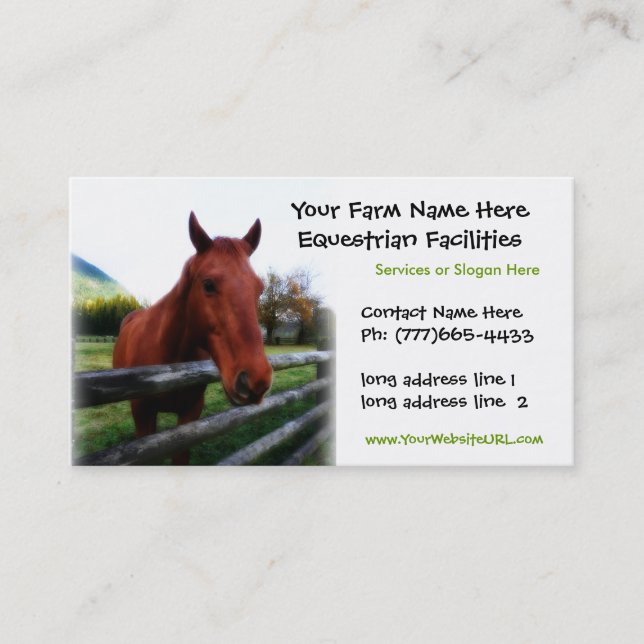 Tarjeta De Visita Foto cuarta del caballo para los servicios (Anverso)