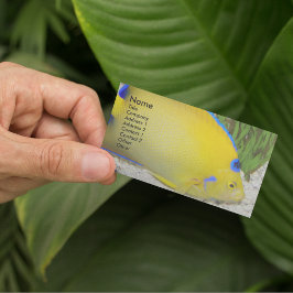 Tarjeta De Visita Foto de Angelfish de Reina amarillo y azul