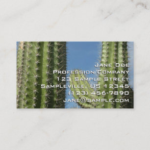 Tarjeta De Visita Foto de cactus de barril en el desierto