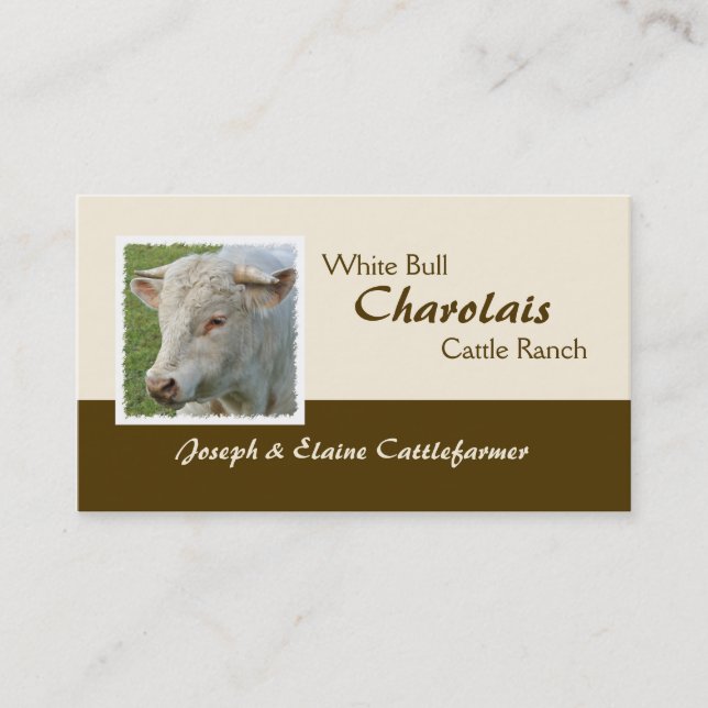 Tarjeta De Visita Foto de cuernos del toro de Charolais (Anverso)