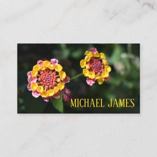 Tarjeta De Visita Foto de jardín floral rosa amarillo Lantana (Anverso)