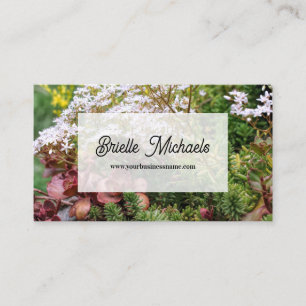 Tarjeta De Visita Foto de jardín suculento