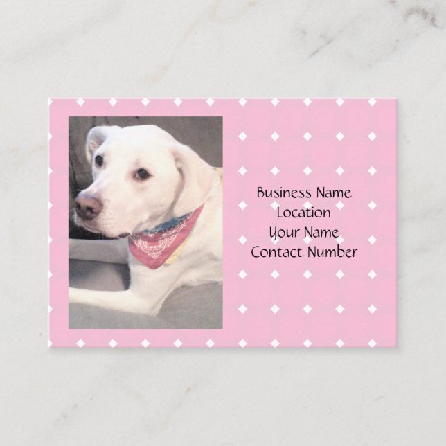 Tarjeta De Visita Foto de un bello perro blanco con bufanda (Anverso)