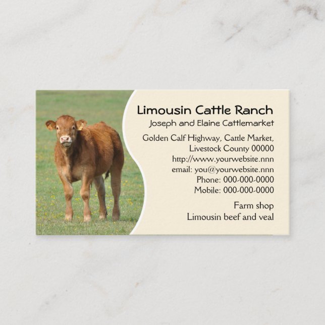 Tarjeta De Visita Foto del becerro del rancho de ganado de Lemosín (Anverso)