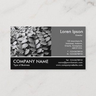 Tarjeta De Visita Foto Fotográfica - 60pc Gris - Hojas