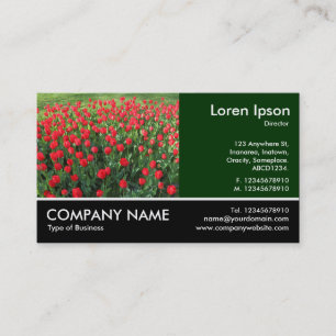 Tarjeta De Visita Foto Fotográfica - Cama de Tulipanes Rojos 01
