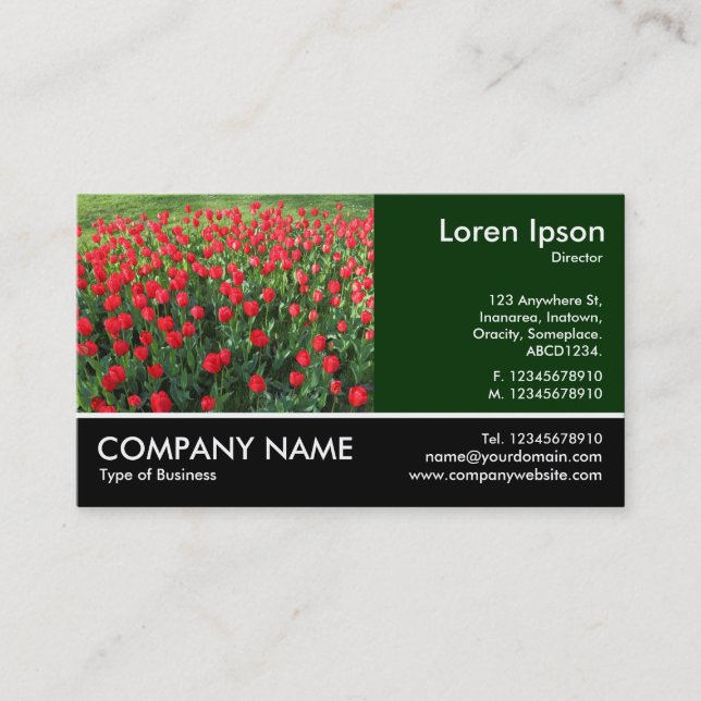 Tarjeta De Visita Foto Fotográfica - Cama de Tulipanes Rojos 01 (Anverso)