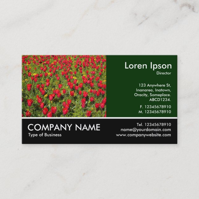 Tarjeta De Visita Foto Fotográfica - Dk Green - Tulipanes Rojos (Anverso)