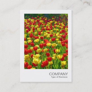 Tarjeta De Visita Foto Instantánea 017 - Tulipanes