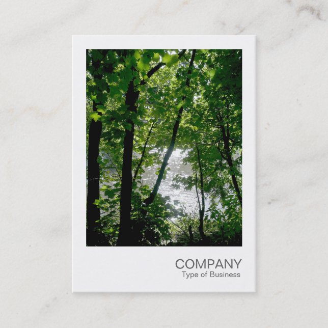 Tarjeta De Visita Foto instantánea 020 - Árboles de un río (Anverso)