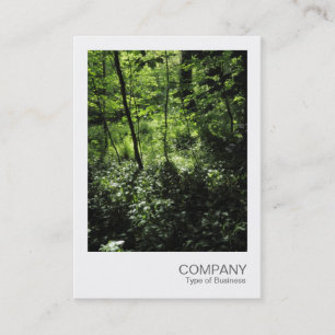 Tarjeta De Visita Foto instantánea 040 - Primavera en los bosques