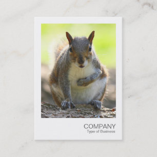 Tarjeta De Visita Foto instantánea 044 - ardilla gris