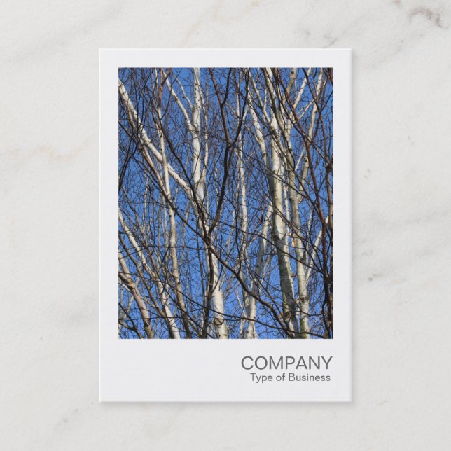 Tarjeta De Visita Foto instantánea 05 - Ramas Birch (Anverso)