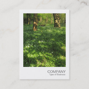 Tarjeta De Visita Foto instantánea 073 - Primavera en los bosques