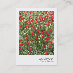 Tarjeta De Visita Foto Instantánea 085 - Lecho de Tulipanes