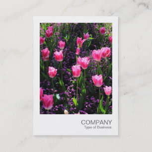 Tarjeta De Visita Foto instantánea 089 - Cama de tulipanes rosados