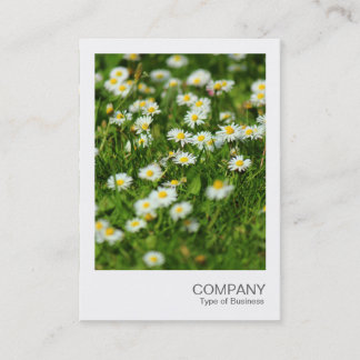 Tarjeta De Visita Foto instantánea 091 - Daisy Meadow