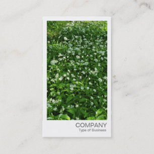 Tarjeta De Visita Foto instantánea - Ajo salvaje