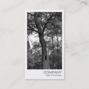 Tarjeta De Visita Foto instantánea - Árbol misterioso