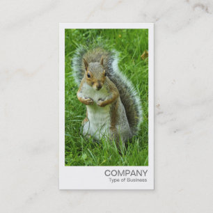 Tarjeta De Visita Foto instantánea: ardilla gris temblorosa