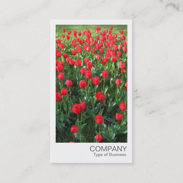 Tarjeta De Visita Foto instantánea - Cama de tulipanes rojos 01 (Anverso)