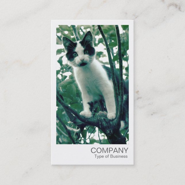 Tarjeta De Visita Foto instantánea - Gatito en un árbol de Apple (Anverso)