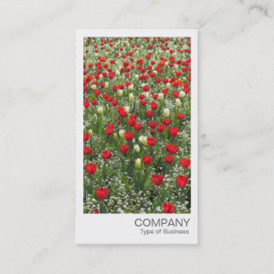 Tarjeta De Visita Foto Instantánea - Lecho de Tulipanes