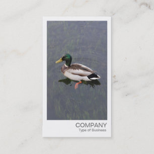 Tarjeta De Visita Foto Instantánea - Pato Silvestre