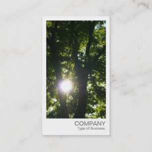 Tarjeta De Visita Foto instantánea - Sol a través de los árboles