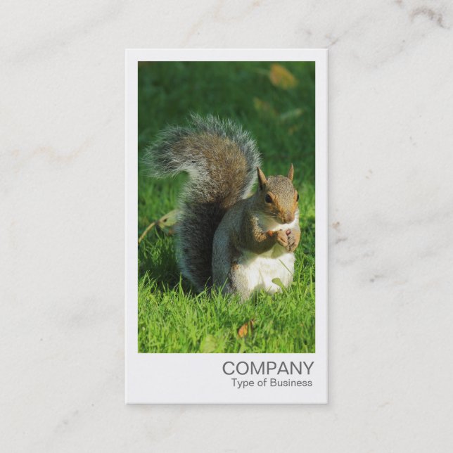 Tarjeta De Visita Foto instantánea - Tuercas comestibles de ardilla  (Anverso)