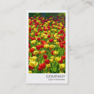 Tarjeta De Visita Foto instantánea - Tulipanes rojos y amarillos