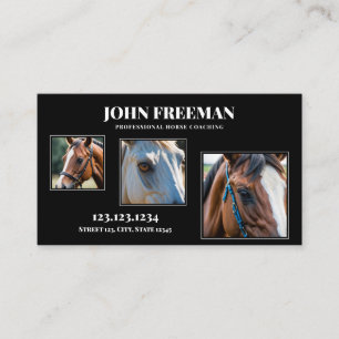 Tarjeta De Visita Foto moderna de caballos blancos y negros